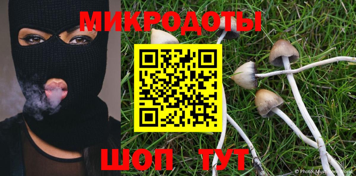 хочу   Вход с VPN  Саров  Галлюциногенные грибы Psilocybe 